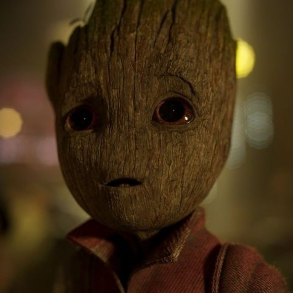 Meet your Posher, Mark - Picture 1 of 1